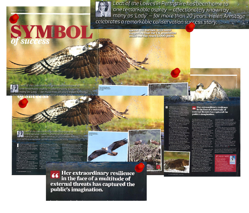 Osprey Conservation article
